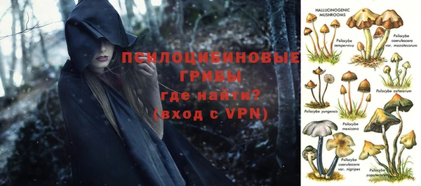 mix Арсеньев